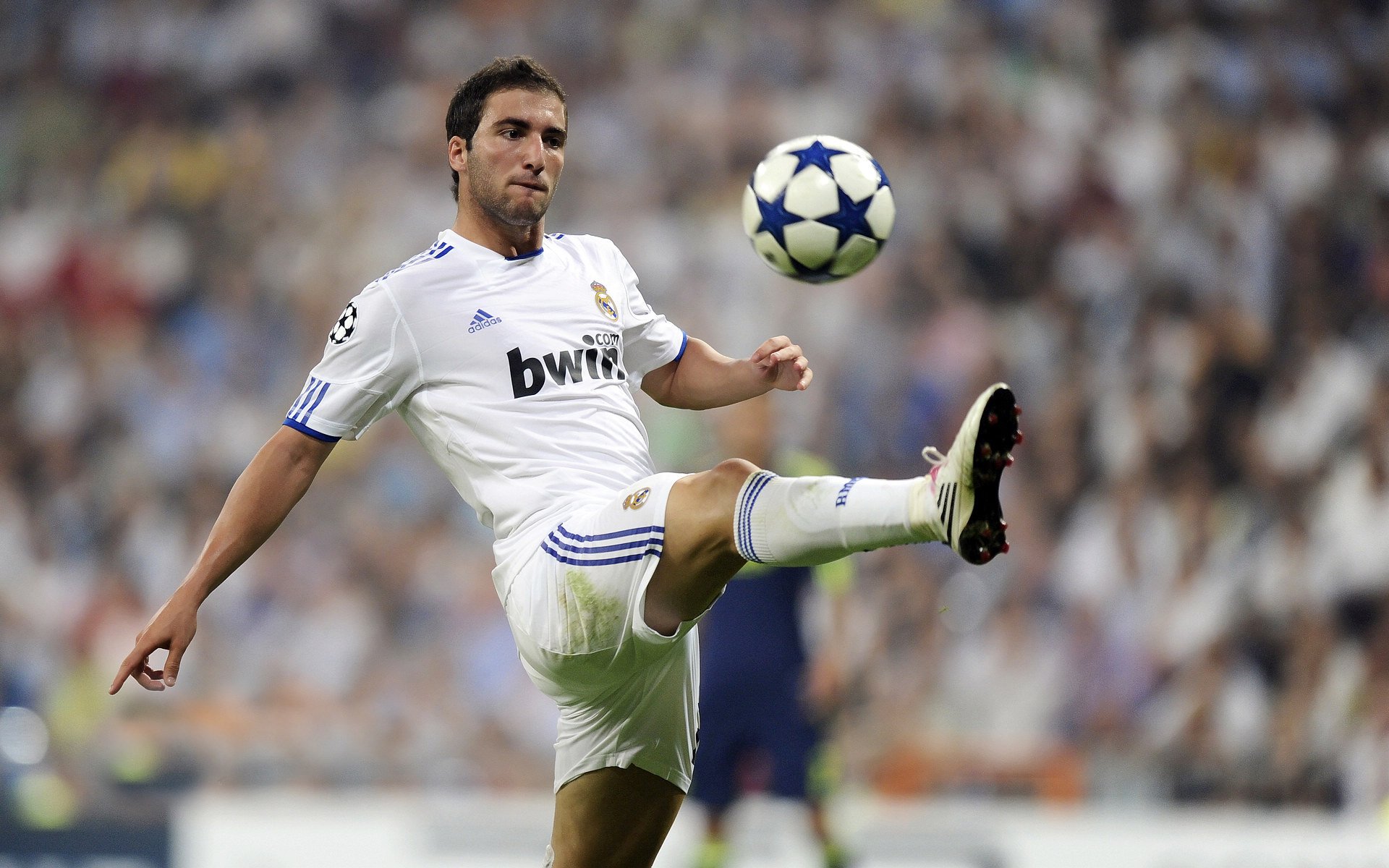 “飞盘竞技：三叉湖赛场成为空中运动爱好者的竞技圣地”