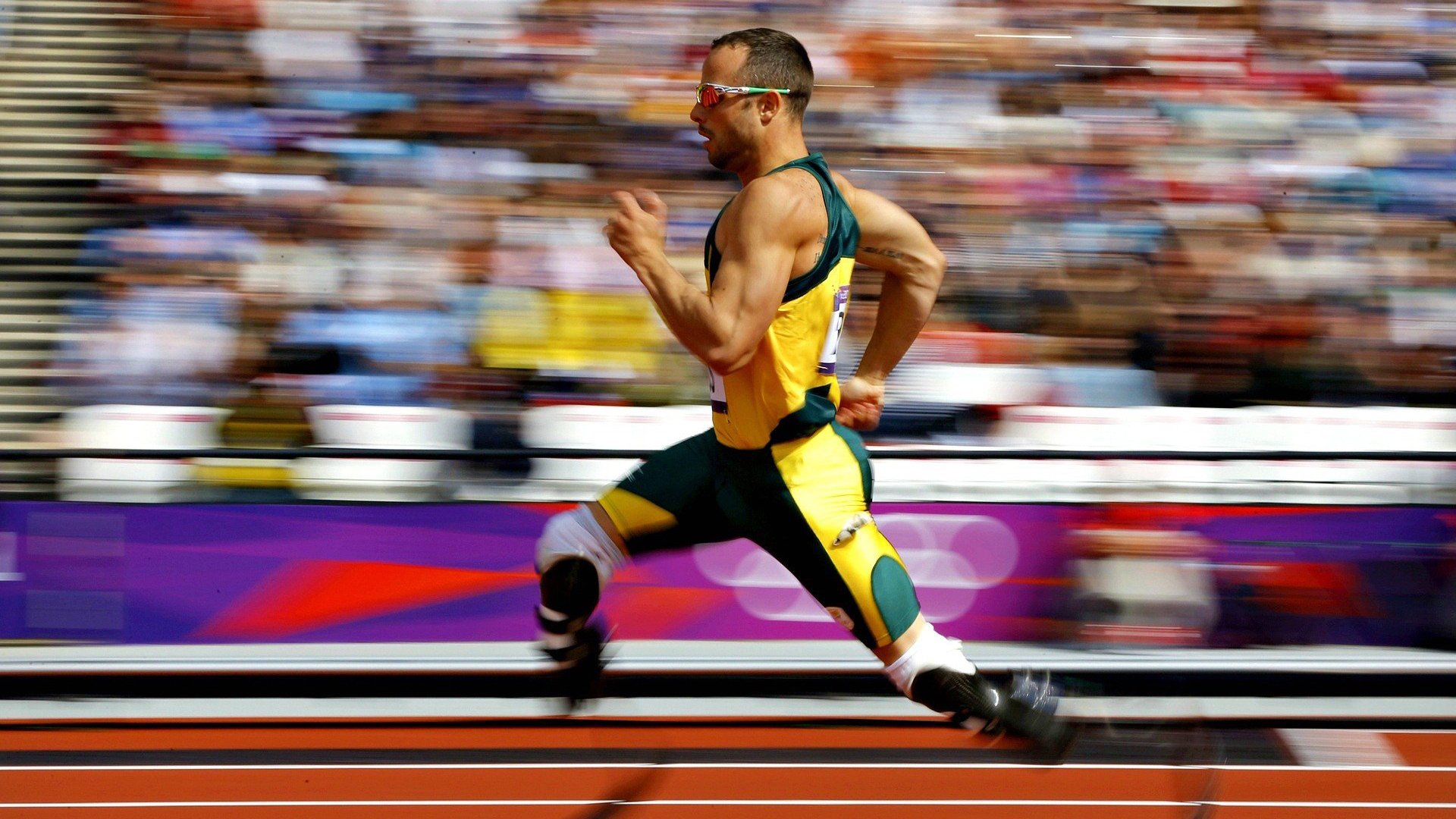 _运动员家庭日：全民家庭共参与_，运动员家属有优待吗