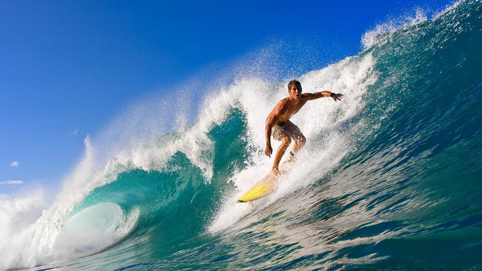 -埃及球星成为联盟最新焦点，全球狂热关注，埃及 足球